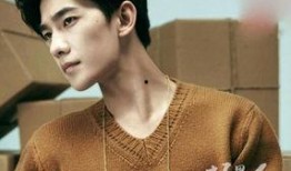 杨洋最近的爆料新闻视频,独家爆料新动态引粉丝热议