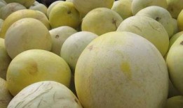 网红吃白兰瓜视频,口感惊艳引网友热议！