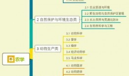 亳州酸菜爆料视频大全集,视频大全集深度解析