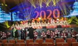 海城春晚最新爆料消息,精彩节目抢先看，年度盛宴即将上演