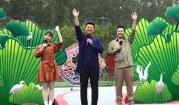 大众车厂爆料最新消息视频,最新爆料视频深度解析