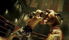 军鸡国语在线观看