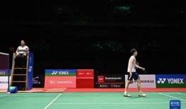 马来西亚羽球爆料视频,独家内幕与精彩瞬间