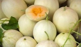 网红吃白兰瓜视频,口感惊艳引网友热议！