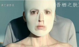 吾栖之肤高清在线观看,一场惊心动魄的悬疑之旅