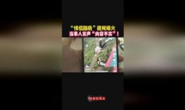 最新爆料蹦极视频,揭秘最新蹦极视频背后的惊险瞬间