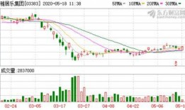 从化新闻爆料网最新消息,最新动态速览，热点事件一网打尽！