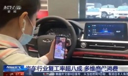 奇瑞汽车内部爆料视频,揭秘企业真实面貌与未来规划