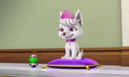 台湾狗崽爆料曲线视频在线观看,揭秘网络热点背后的真相