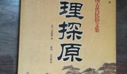 宁津探店爆料视频大全,网红美食大盘点