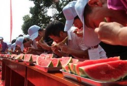 网红大赛-每日大赛-吃瓜,每日大赛现场，吃瓜群众狂欢盛宴