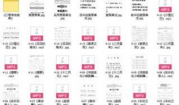 最新教材爆料网站有哪些,最新教材爆料网站大盘点，一网打尽教育资讯新趋势